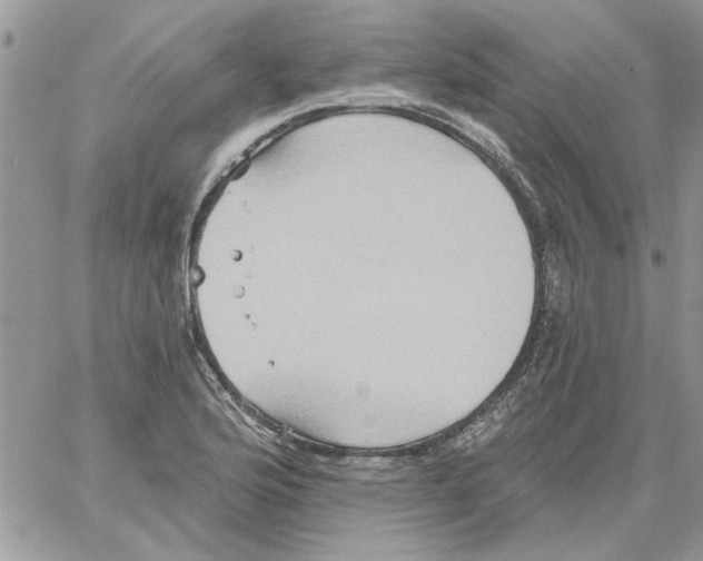 X0000061751176200512302230