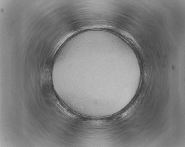 X0000061751177200512302230