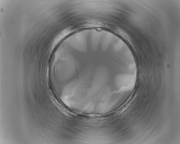 X0000061751179200512302230