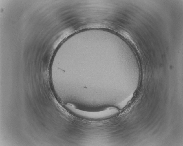 X0000061751181200512302230