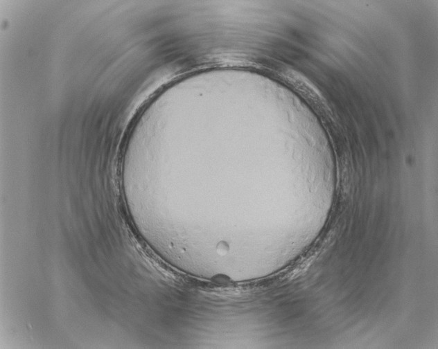 X0000061751182200512302230