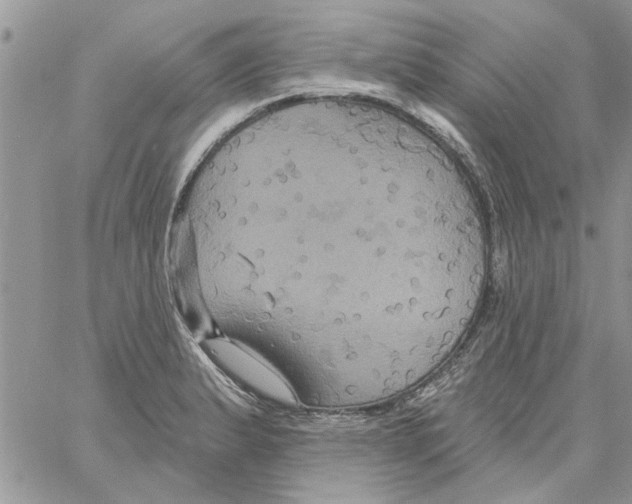 X0000061751183200512302230