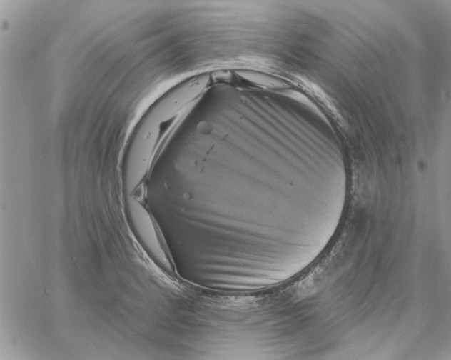 X0000061751184200512302230