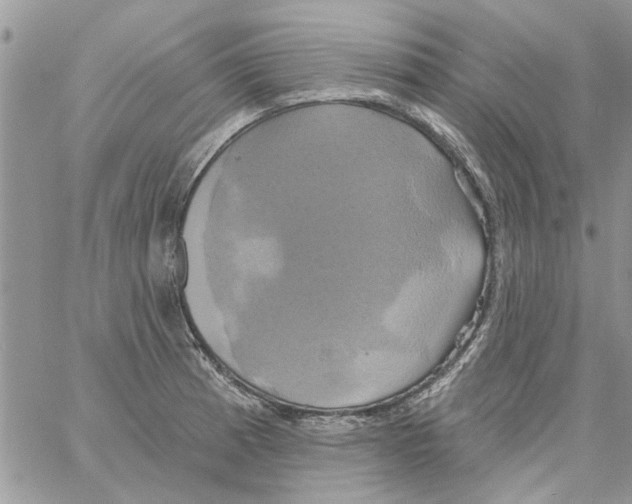 X0000061751185200512302230