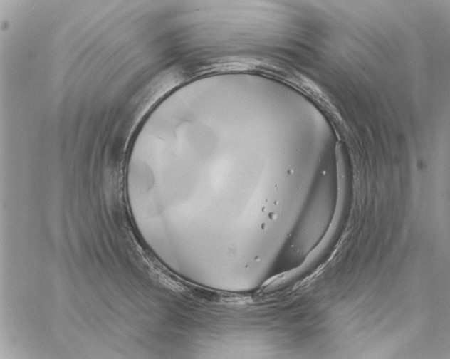 X0000061751186200512302230