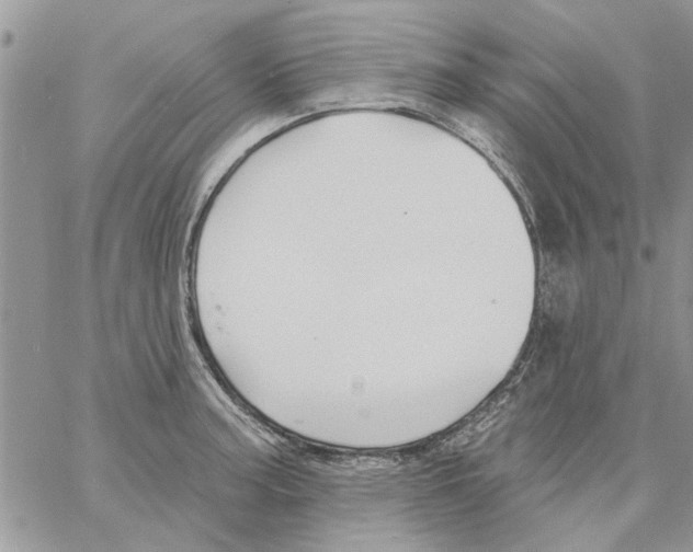 X0000061751187200512302229