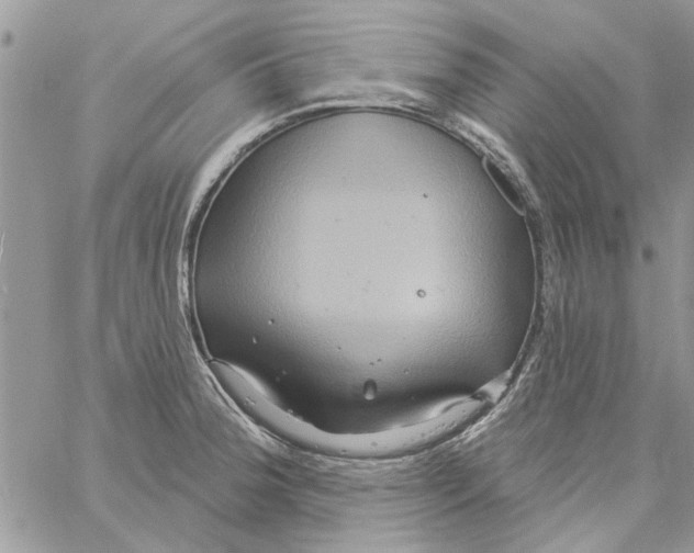 X0000061751188200512302229