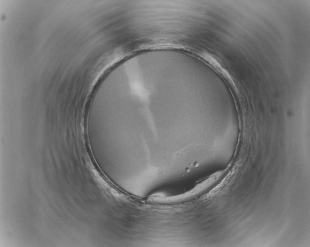 X0000061751189200512302229