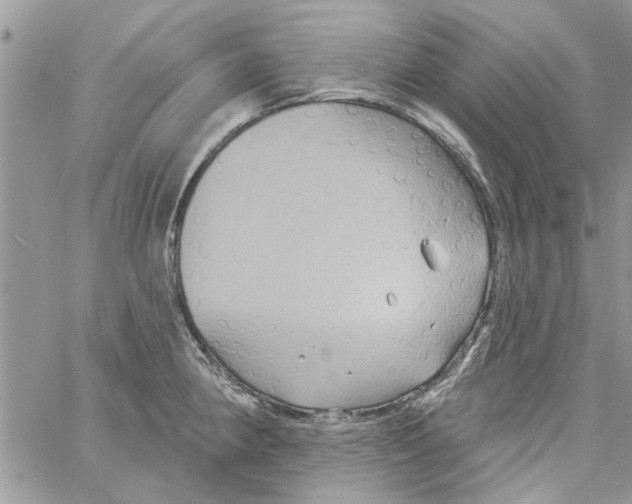 X0000061751190200512302229