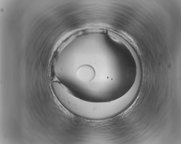 X0000061751192200512302229