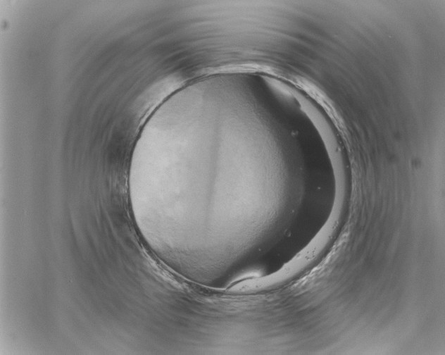 X0000061751193200512302229