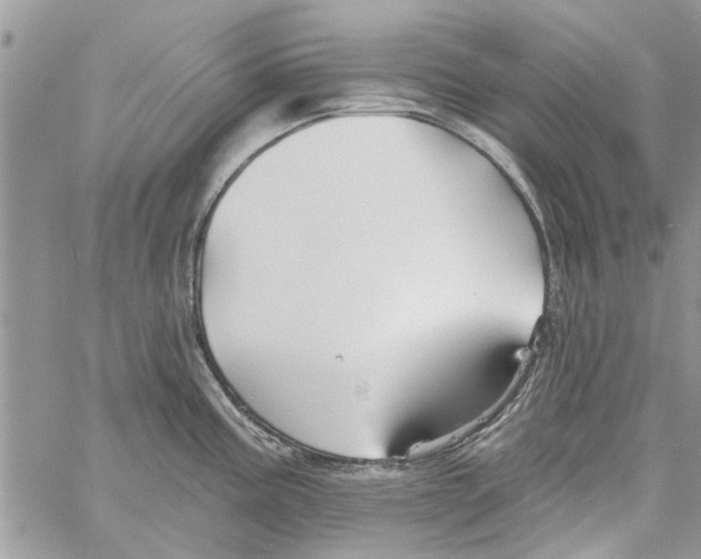 X0000061751195200512302229