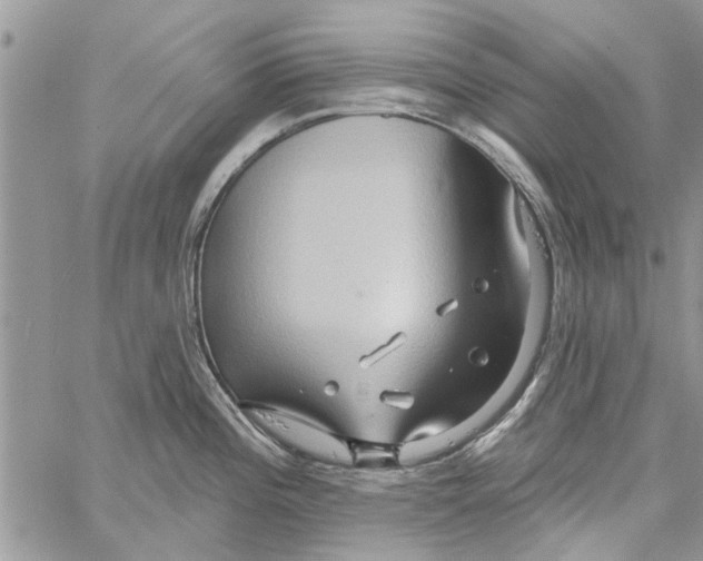 X0000061751196200512302229