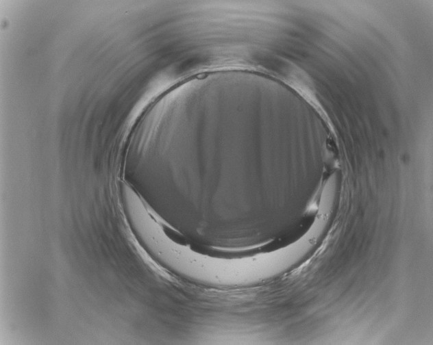 X0000061751197200512302229