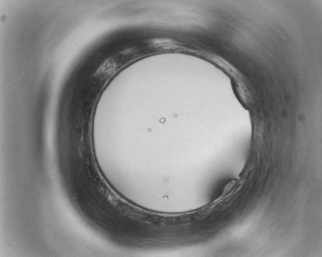 X0000061751199200512302229