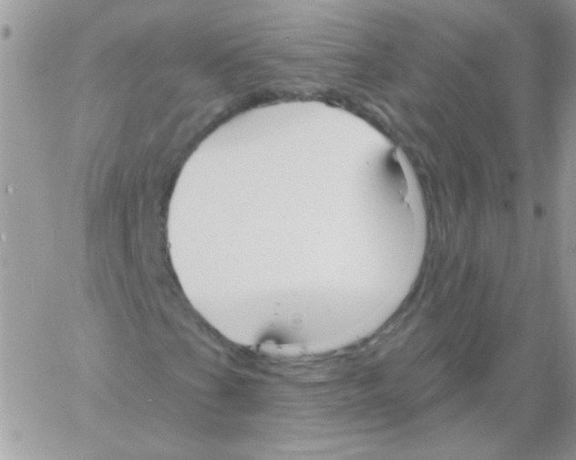 X0000061751201200512302228