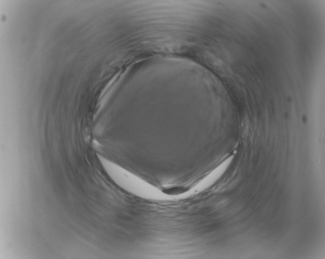 X0000061751202200512302228