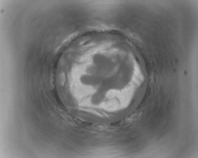 X0000061751205200512302228