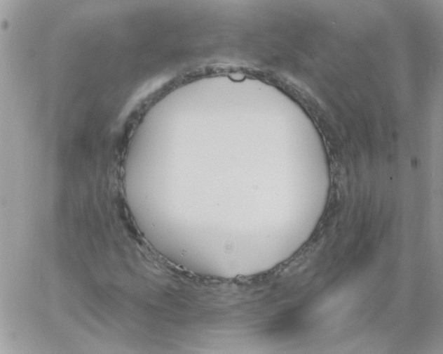 X0000061751207200512302229