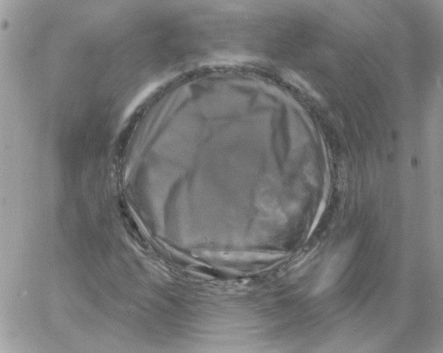 X0000061751208200512302229