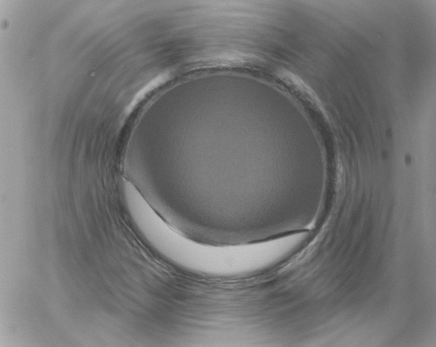 X0000061751210200512302229