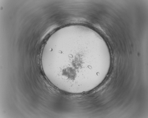 X0000061751211200512302229