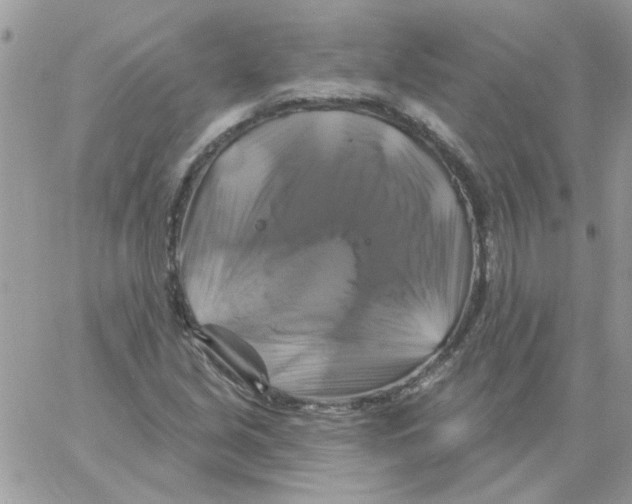 X0000061751213200512302229