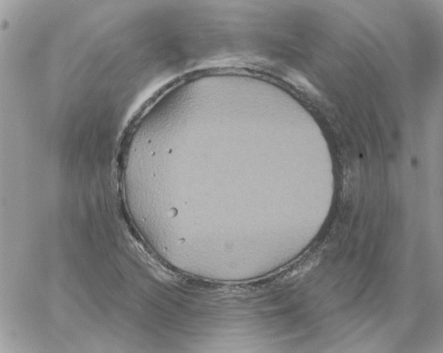 X0000061751216200512302229