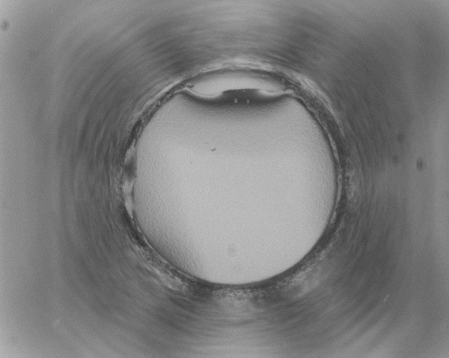 X0000061751217200512302229