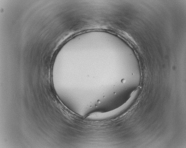 X0000061751220200512302229