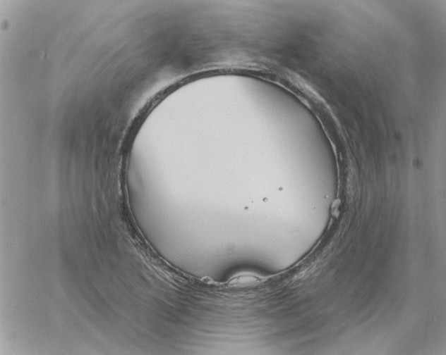 X0000061751222200512302229