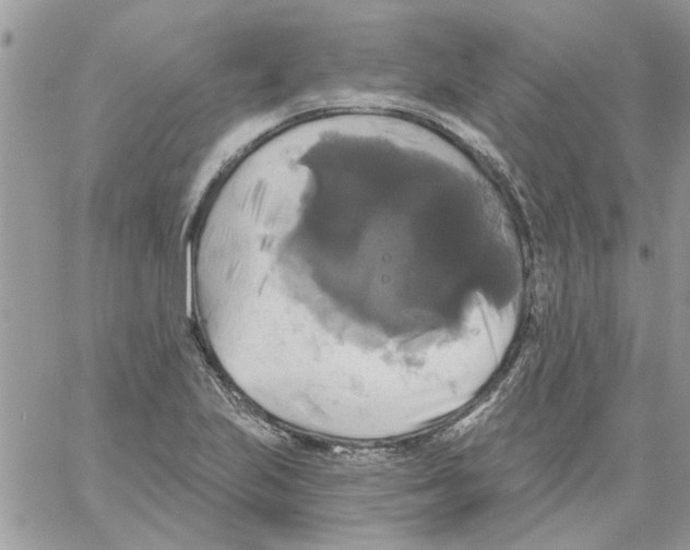 X0000061751223200512302229