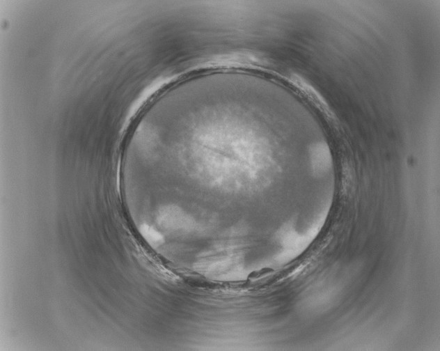 X0000061751224200512302229