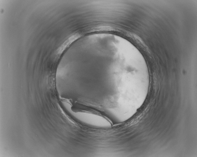 X0000061751225200512302229