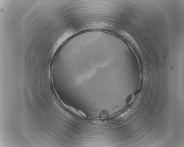 X0000061751226200512302229