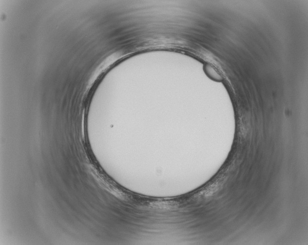 X0000061751227200512302229