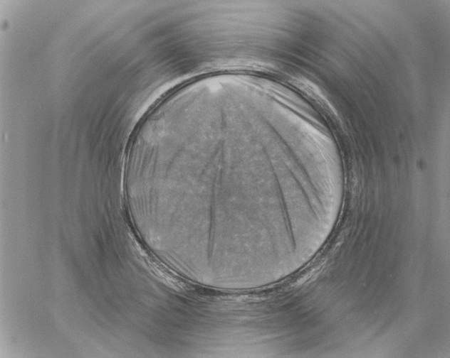 X0000061751228200512302229