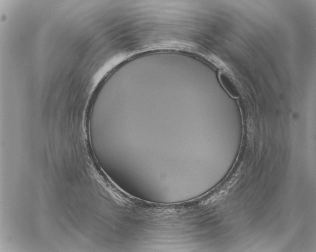 X0000061751230200512302229