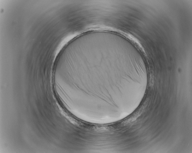 X0000061751231200512302229