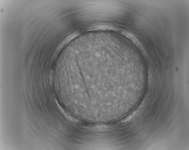 X0000061751233200512302229