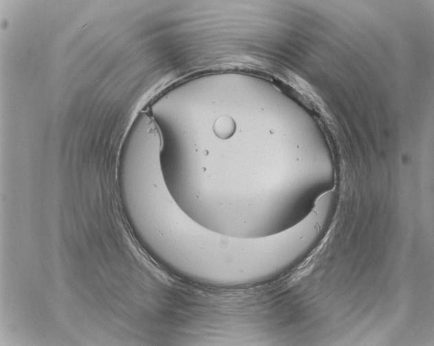 X0000061751234200512302229