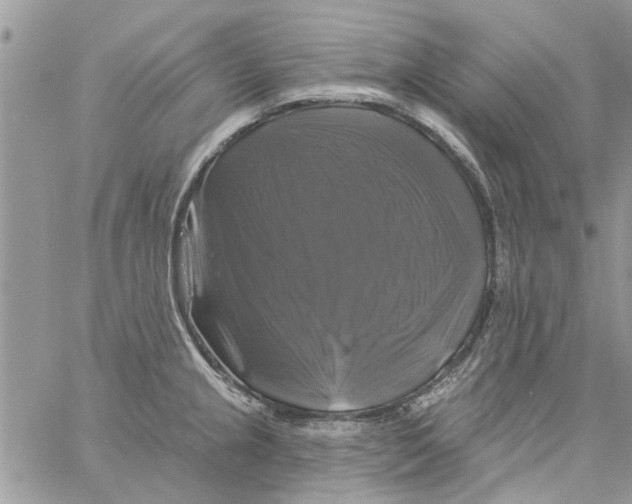 X0000061751237200512302229