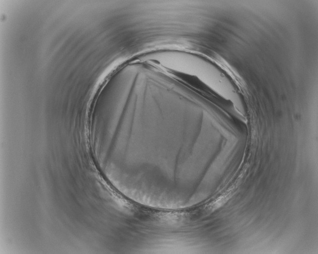 X0000061751240200512302229