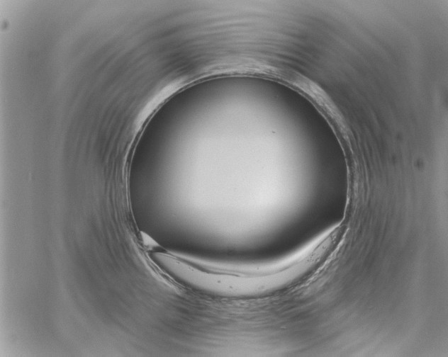 X0000061751242200512302229