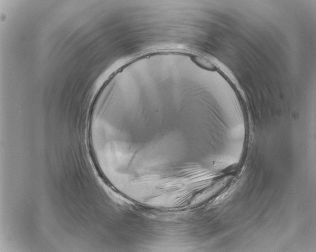 X0000061751245200512302229