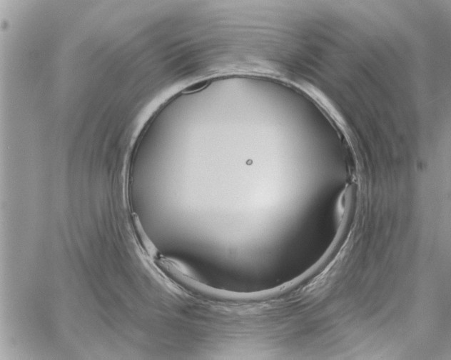 X0000061751246200512302229