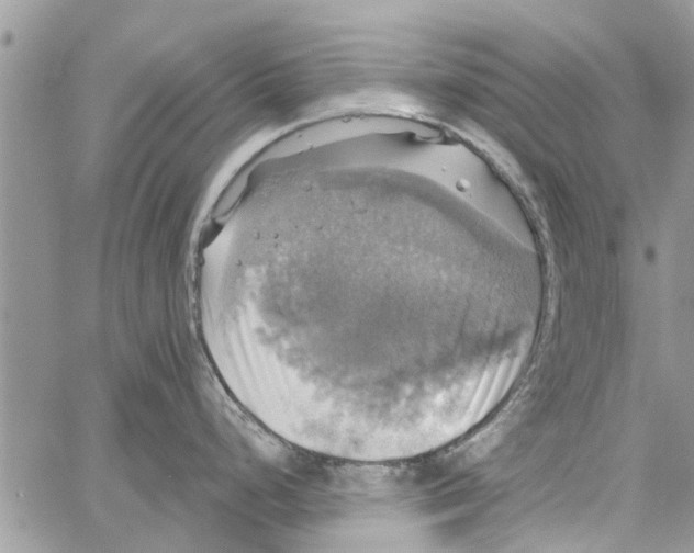 X0000061751248200512302229