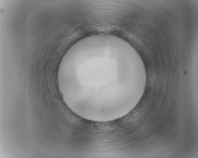 X0000061751249200512302228