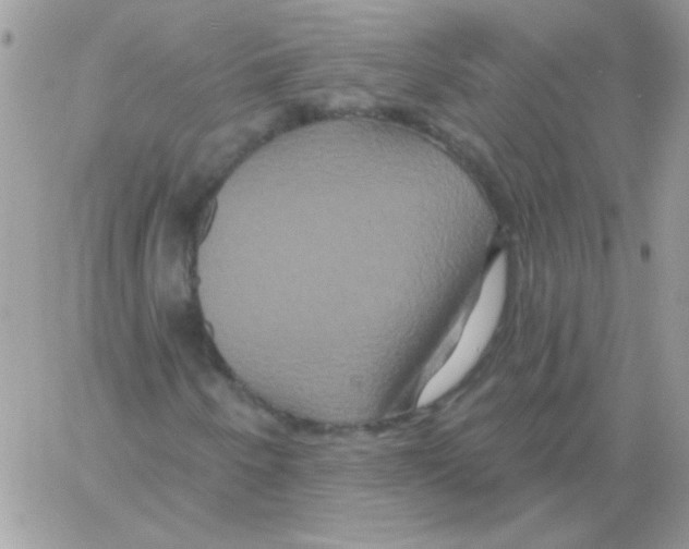 X0000061751250200512302228