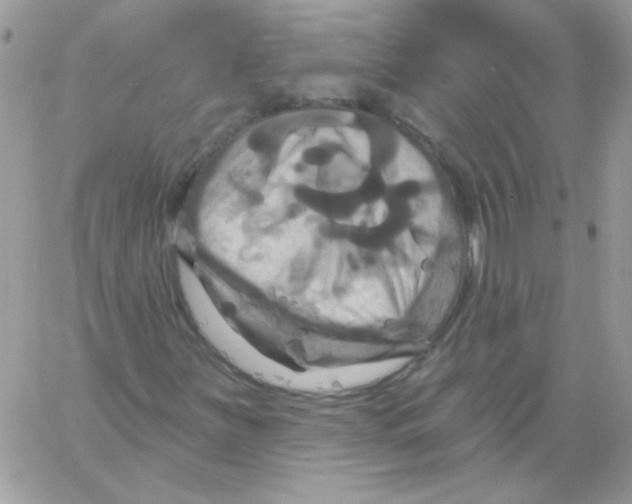 X0000061751251200512302228